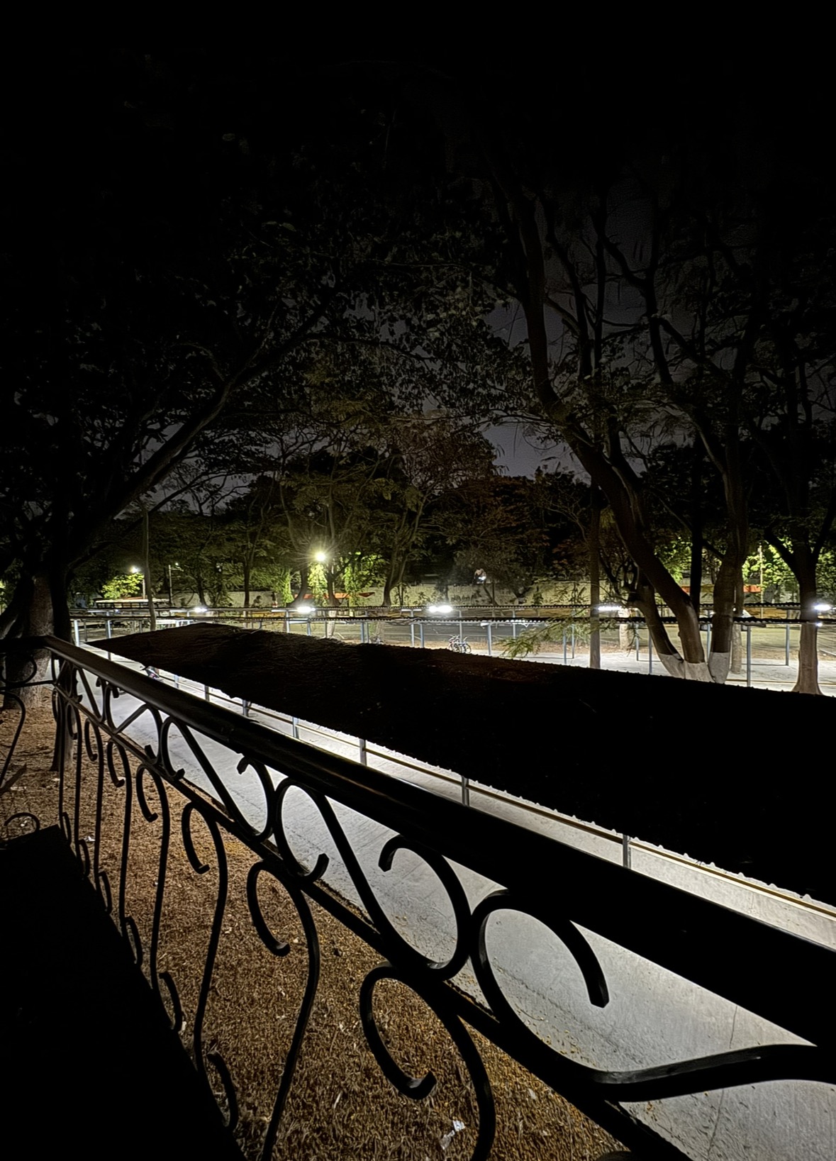 The First Conversation